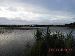 DSCN9957.JPG