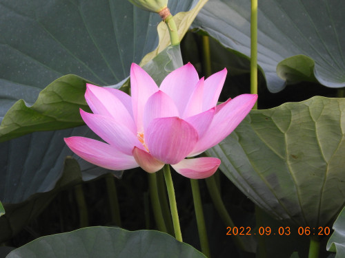 DSCN9965.JPG