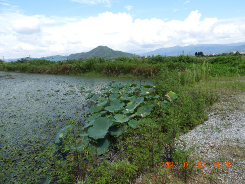 DSCN9975.JPG