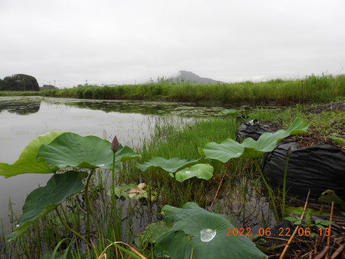 DSCN9721.JPG