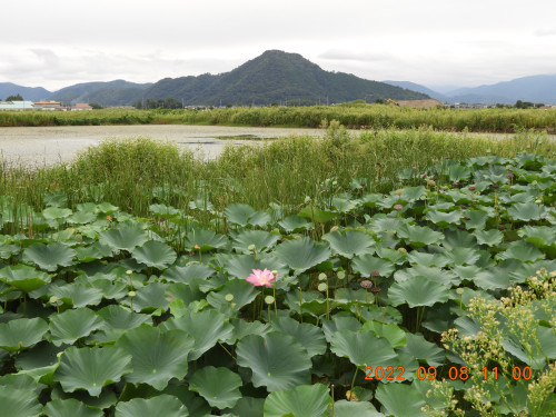 DSCN0015.JPG