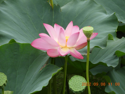 DSCN0014.JPG
