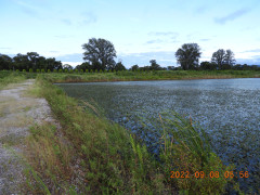 DSCN9980.JPG