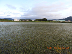 DSCN9981.JPG