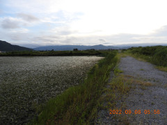 DSCN9982.JPG