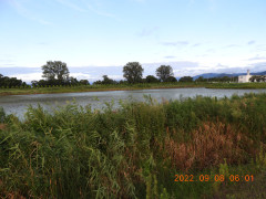 DSCN9989.JPG