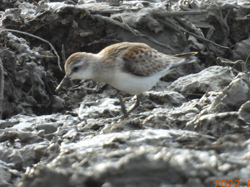 RSCN0110.JPG
