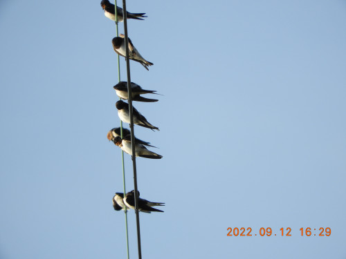 DSCN0067.JPG