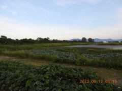 DSCN0018.JPG