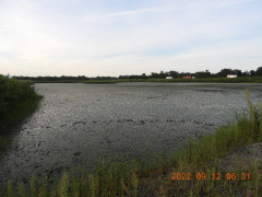 DSCN0021.JPG