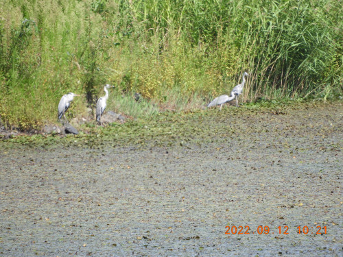 DSCN0031.JPG