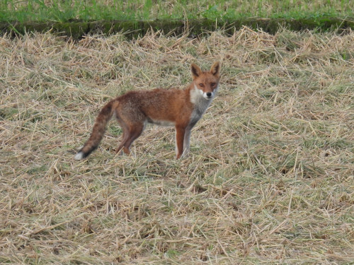 RSCN0001.JPG