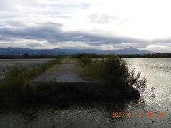 DSCN9981.JPG