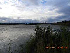 DSCN9982.JPG
