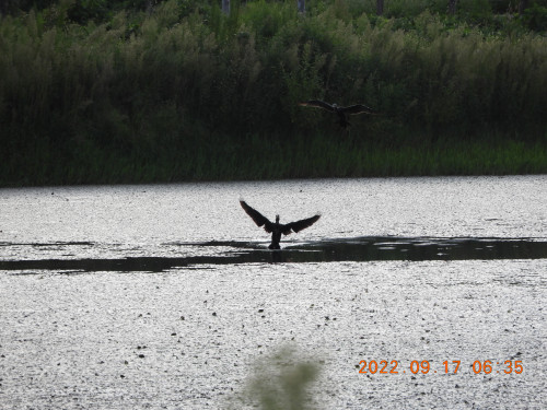 DSCN9983.JPG