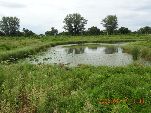 DSCN9989.JPG