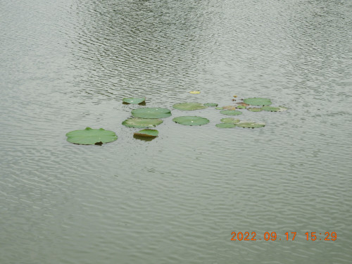 DSCN9993.JPG