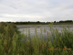 DSCN0001.JPG
