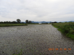 DSCN0003.JPG