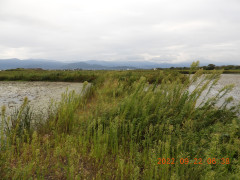 DSCN0007.JPG