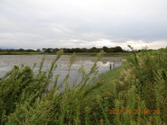 DSCN0008.JPG