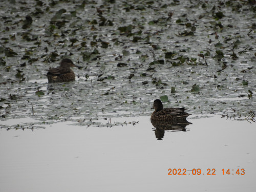 DSCN0025.JPG