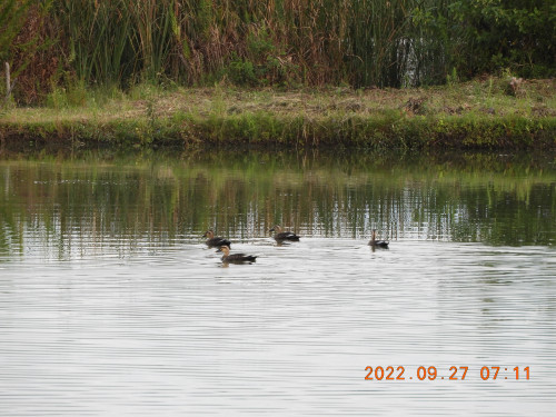 DSCN0055.JPG