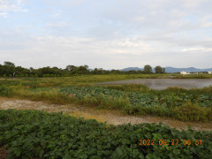 DSCN0051.JPG