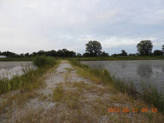 DSCN0040.JPG
