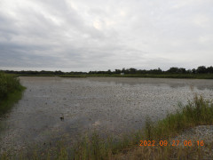 DSCN0039.JPG