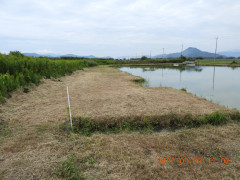 DSCN0061.JPG