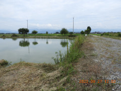 DSCN0062.JPG