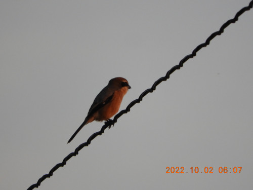 DSCN9943.JPG