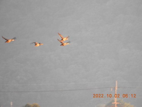 DSCN9944.JPG