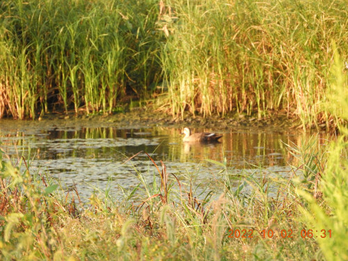 DSCN9948.JPG