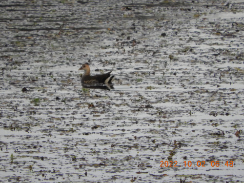 DSCN9958.JPG