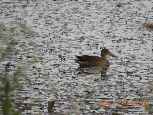 DSCN9961.JPG