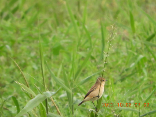 DSCN9962.JPG