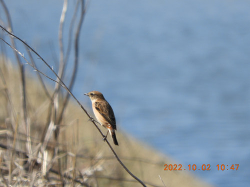DSCN9966.JPG