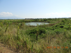DSCN9970.JPG