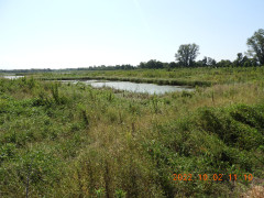 DSCN9971.JPG