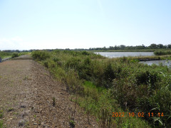 DSCN9975.JPG
