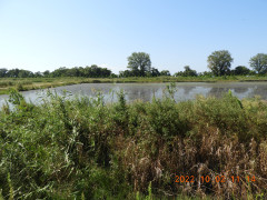 DSCN9976.JPG
