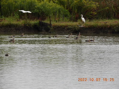 DSCN0106.JPG
