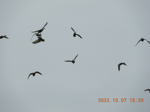 DSCN0107.JPG