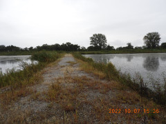 DSCN0111.JPG