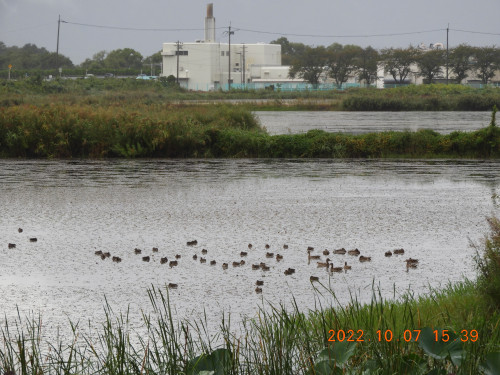 DSCN0116.JPG
