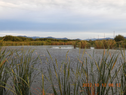 DSCN0129.JPG