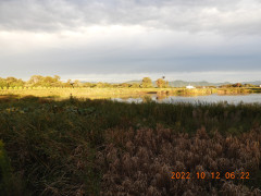 DSCN0132.JPG