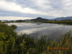 DSCN0136.JPG
